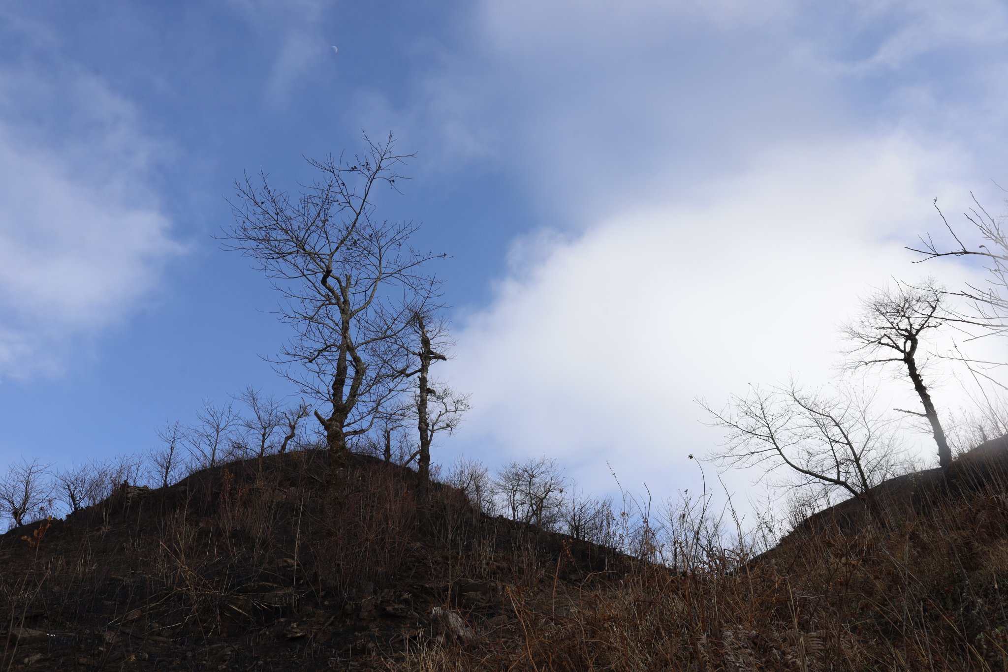 _MG_1876.JPG