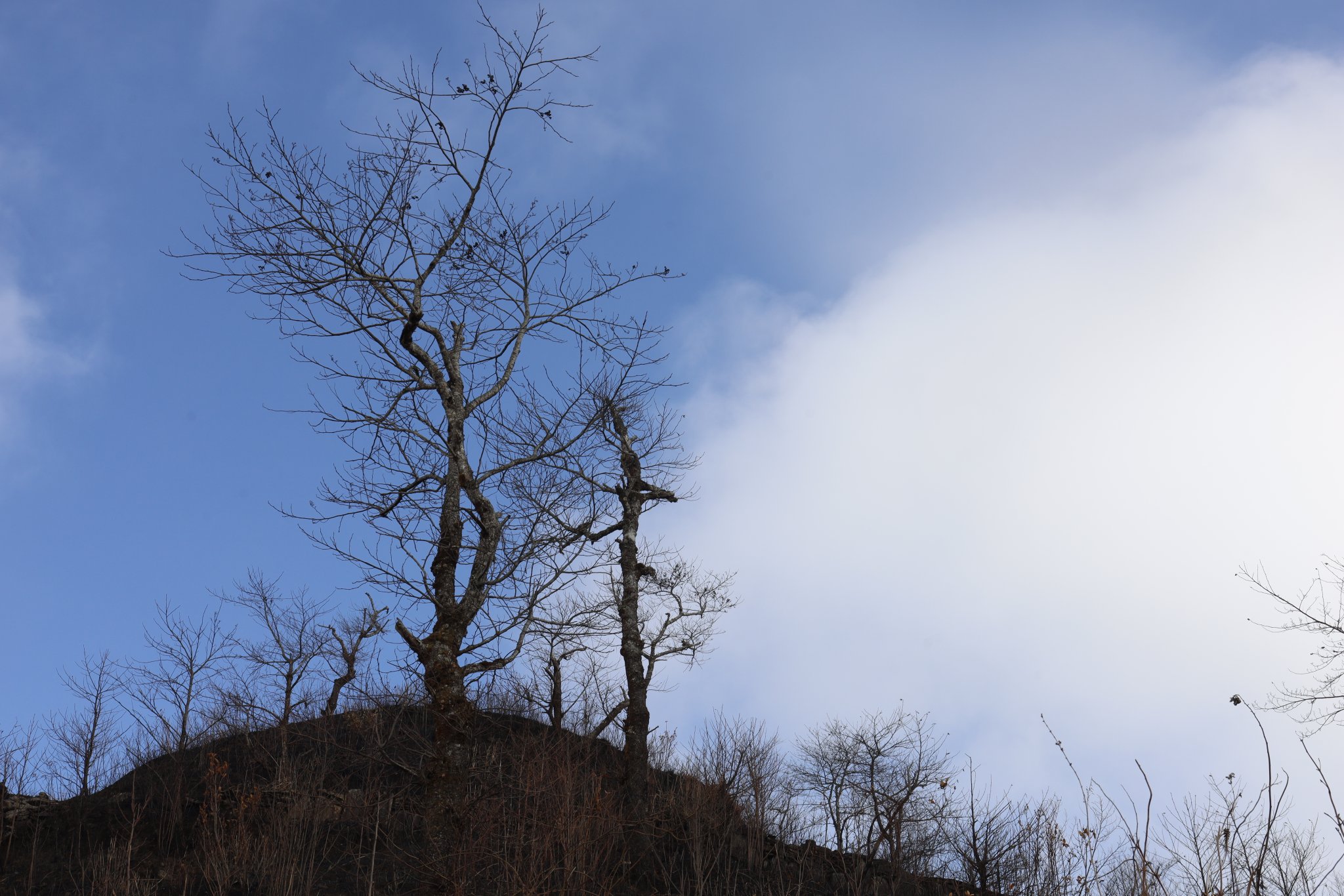 _MG_1877.JPG