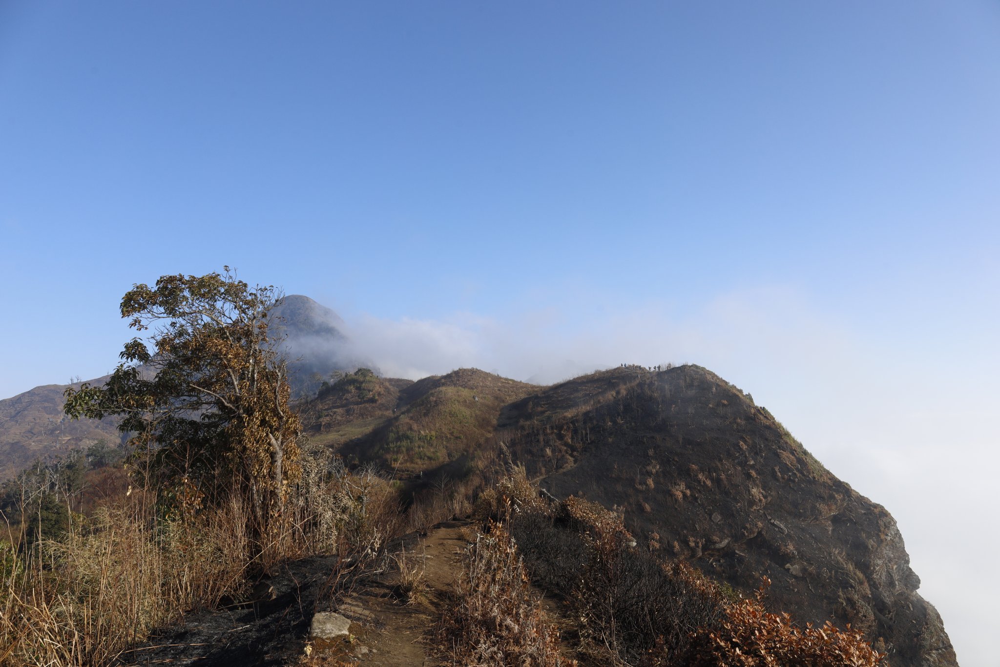 _MG_1893.JPG