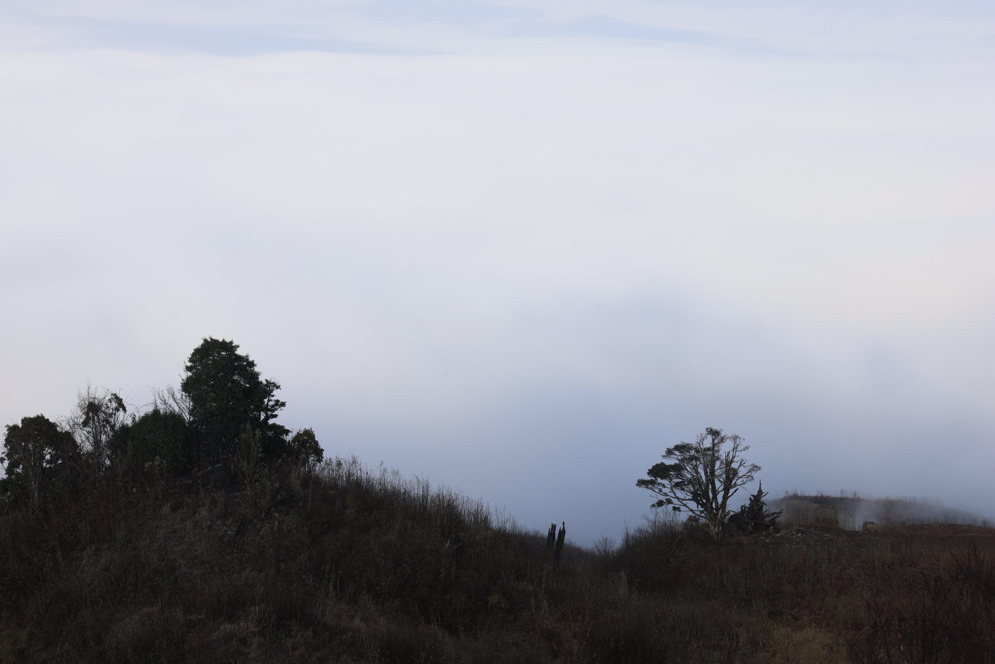 _MG_1894.JPG