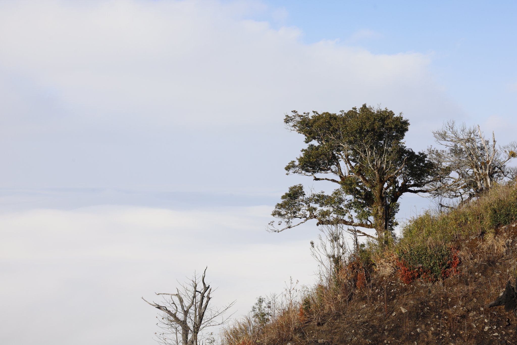 _MG_1904.JPG