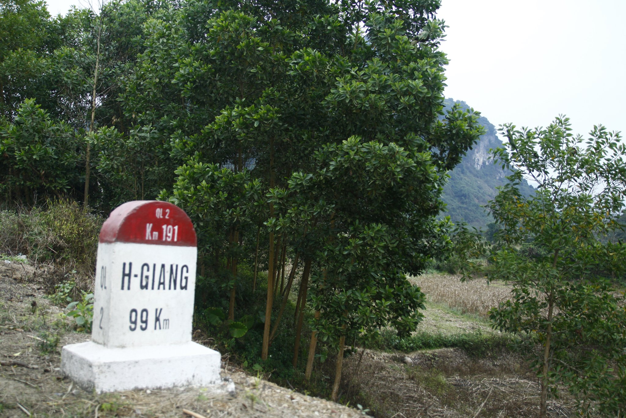 _MG_2278.JPG