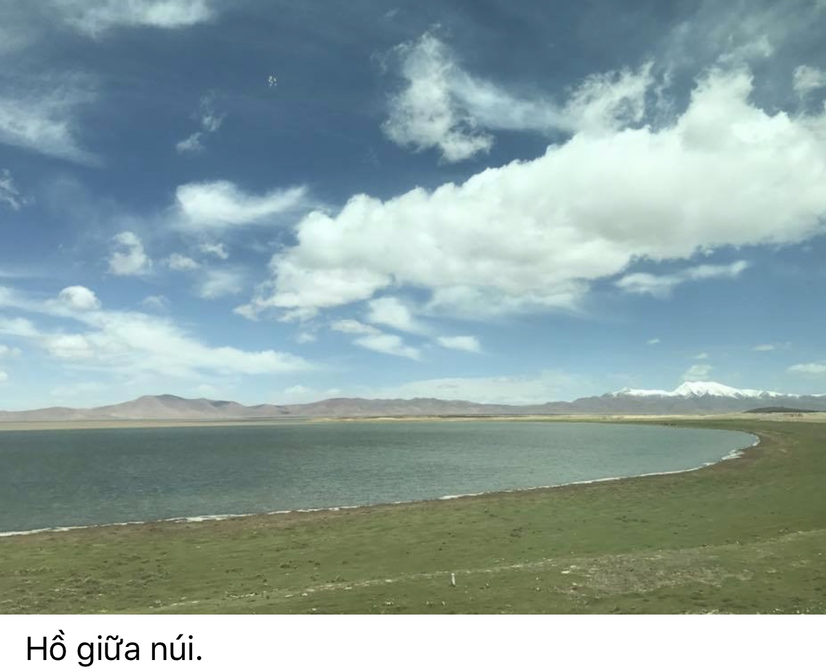 B8706EFA-E24A-472E-AD4F-8A455BF78B6D.jpeg