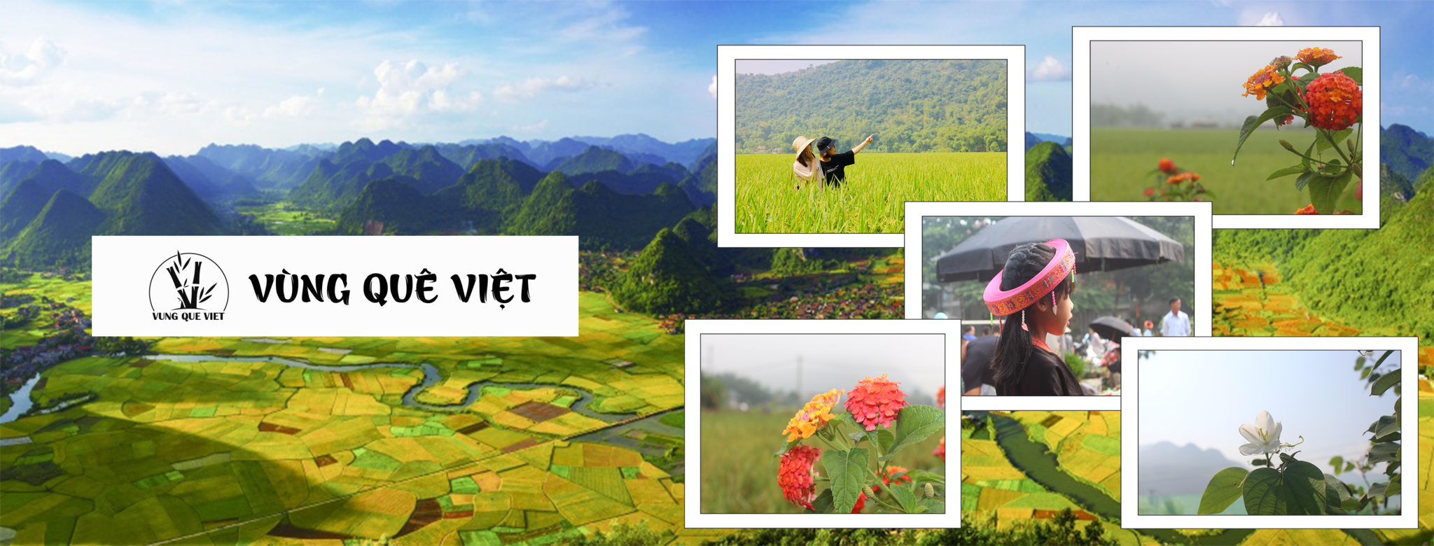 banner vqv 2.png