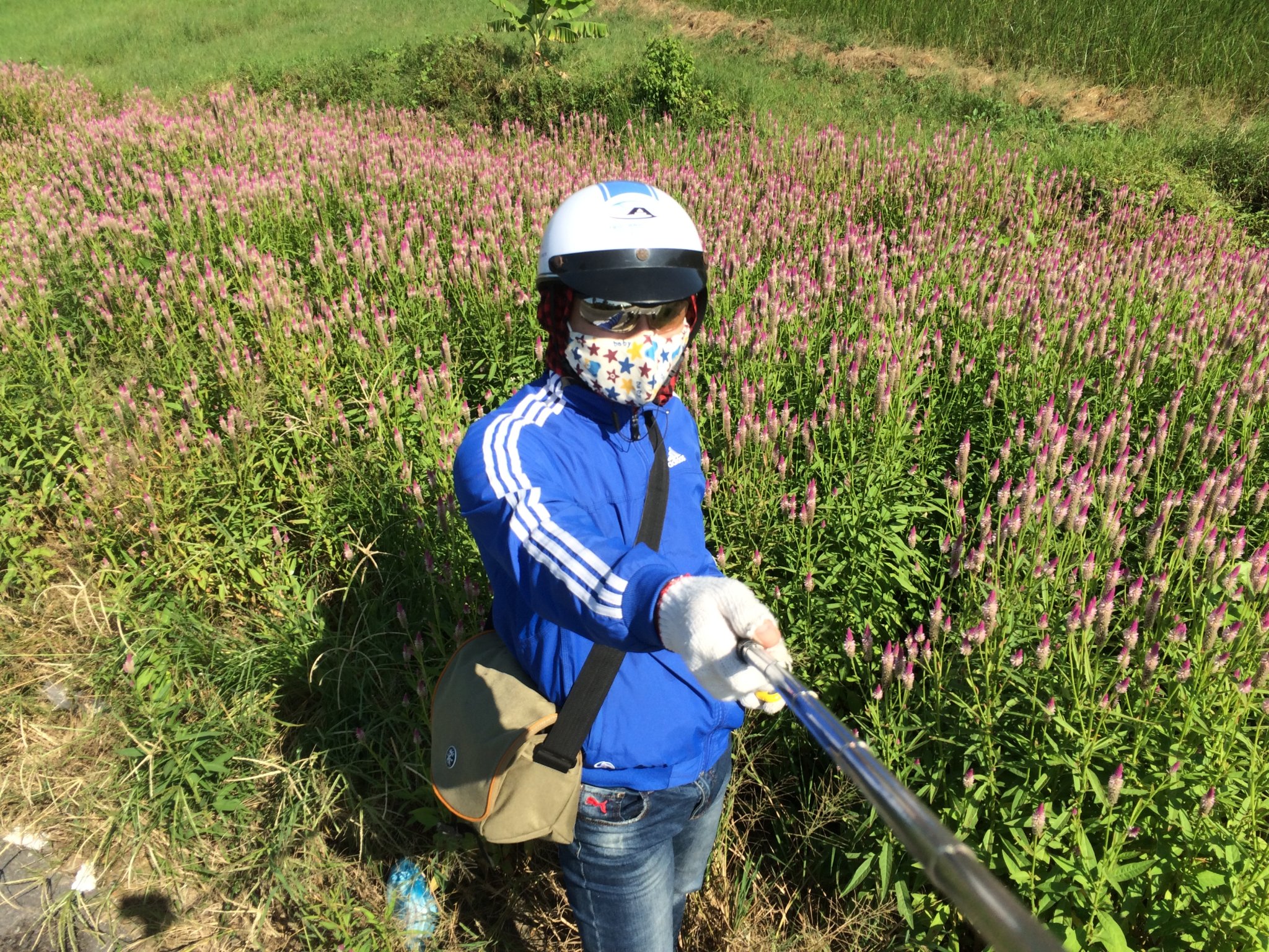 ca-mau_22051052534_o.jpg