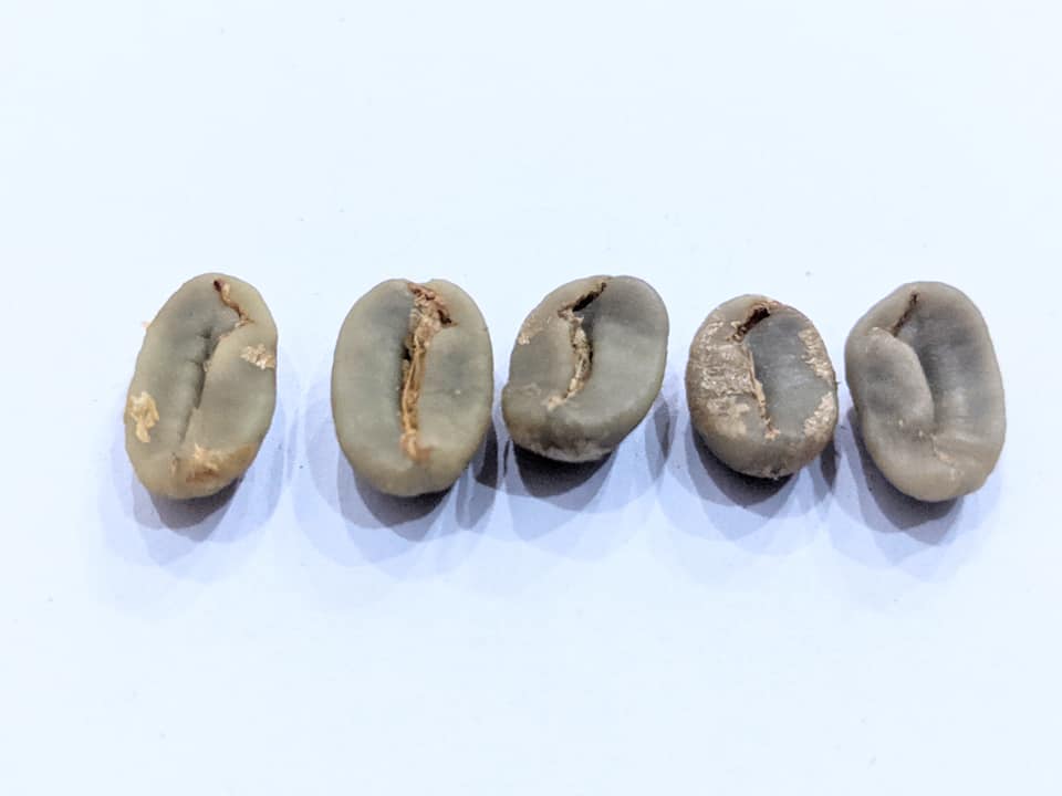 Ca phe vang nhan.jpg