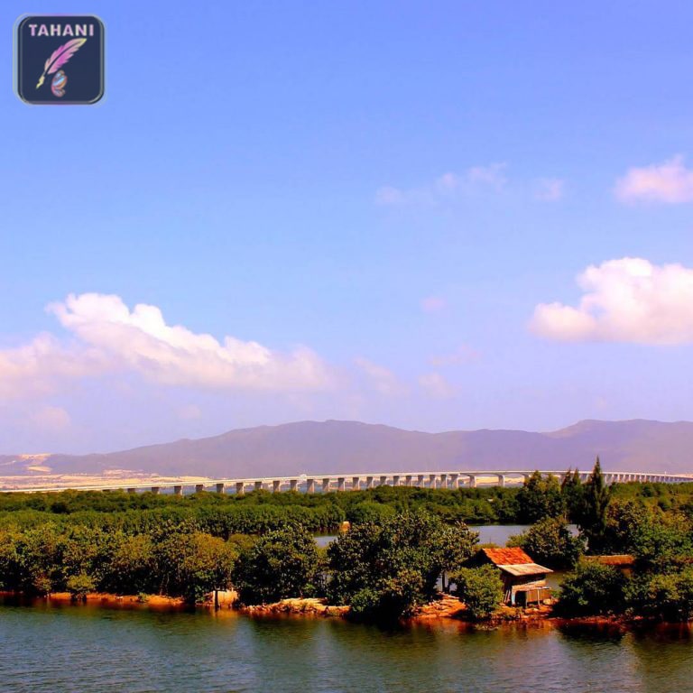 cau-thi-nai-3-min.jpg