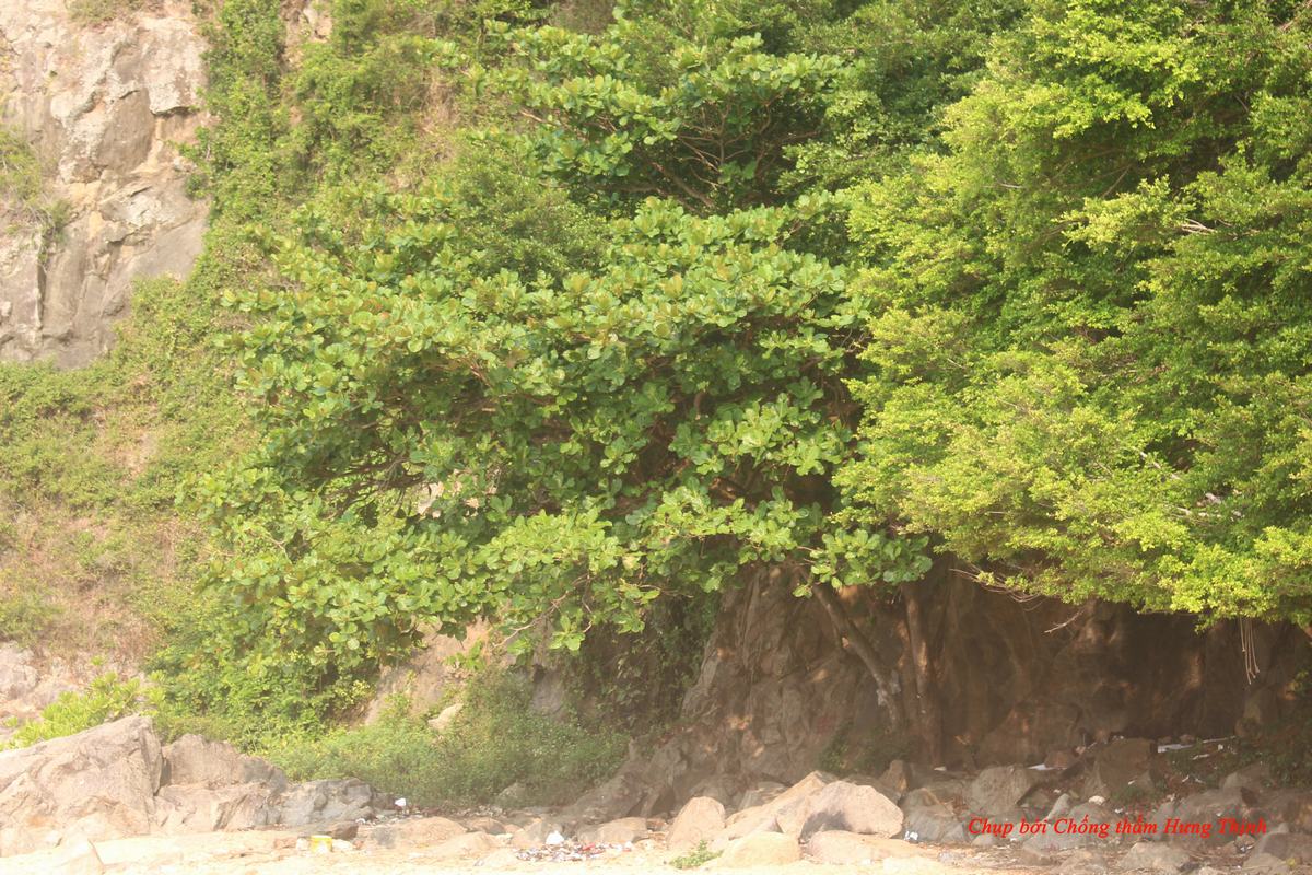 chong-tham-hung-thinh-da-nang (9).JPG