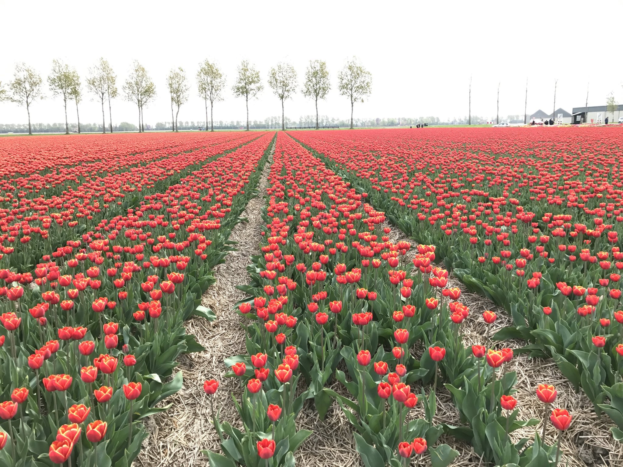 D3D8248D-1F56-4486-9930-3FC4D7A9C5D2.jpeg