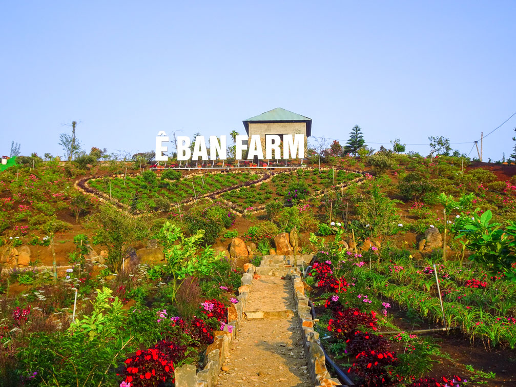 diem-di-lich-sinh-thai-e-ban-farm-mang-den-kon-tum-05.jpg
