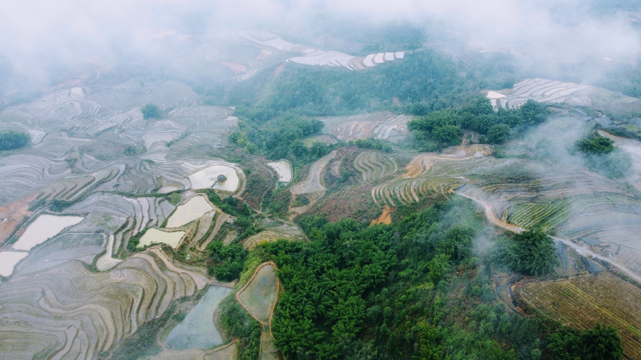 DJI_0101.JPG
