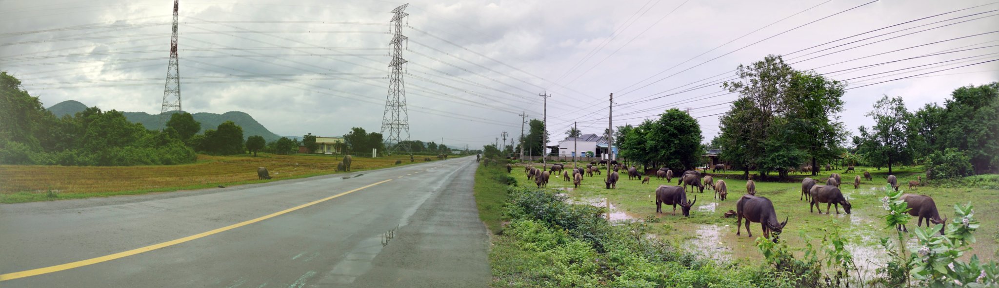 DSC00278-PANO.jpg