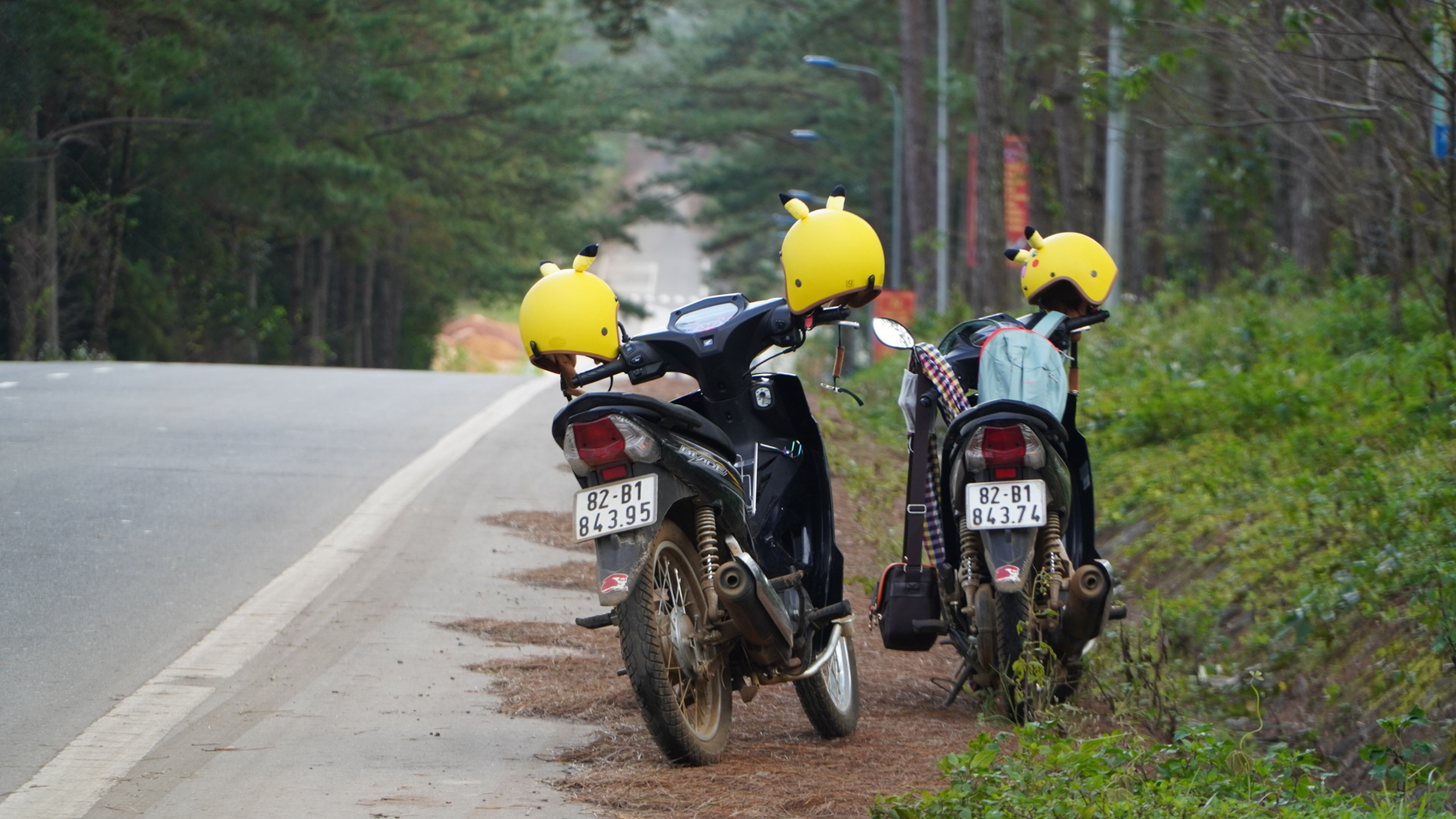DSC00652.JPG