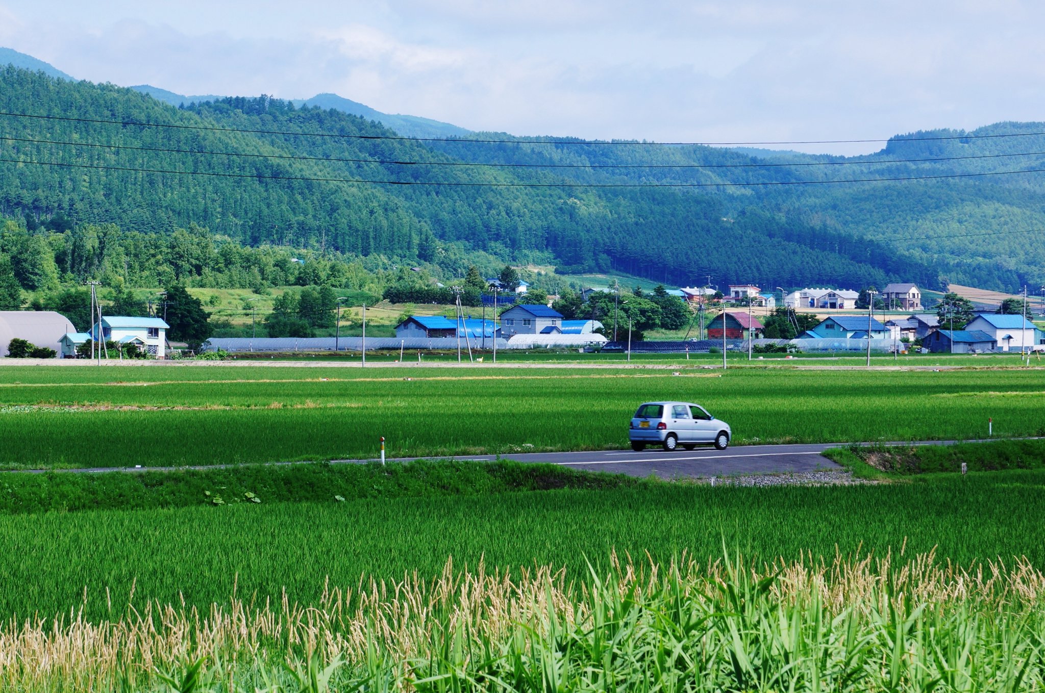 DSC01452.JPG