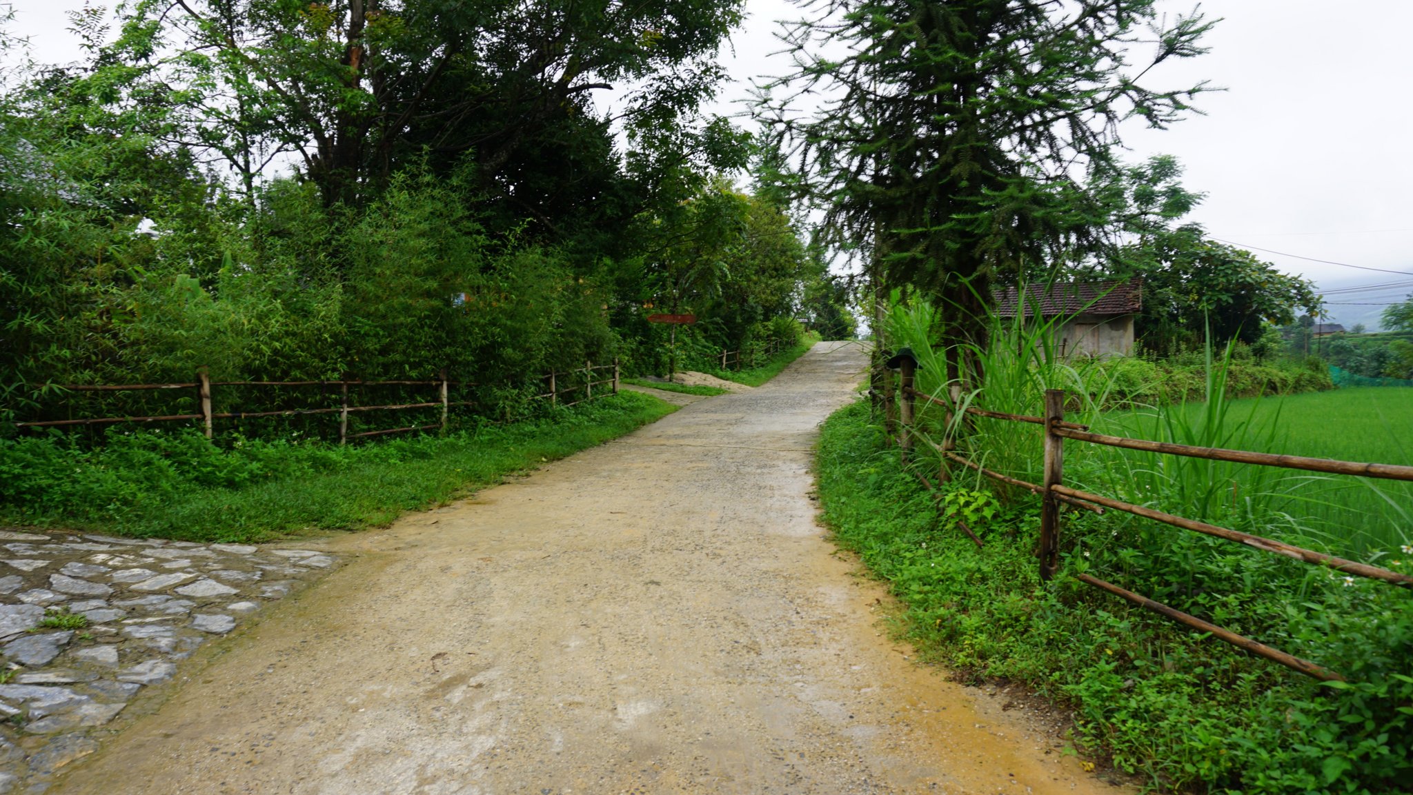 DSC01474.JPG