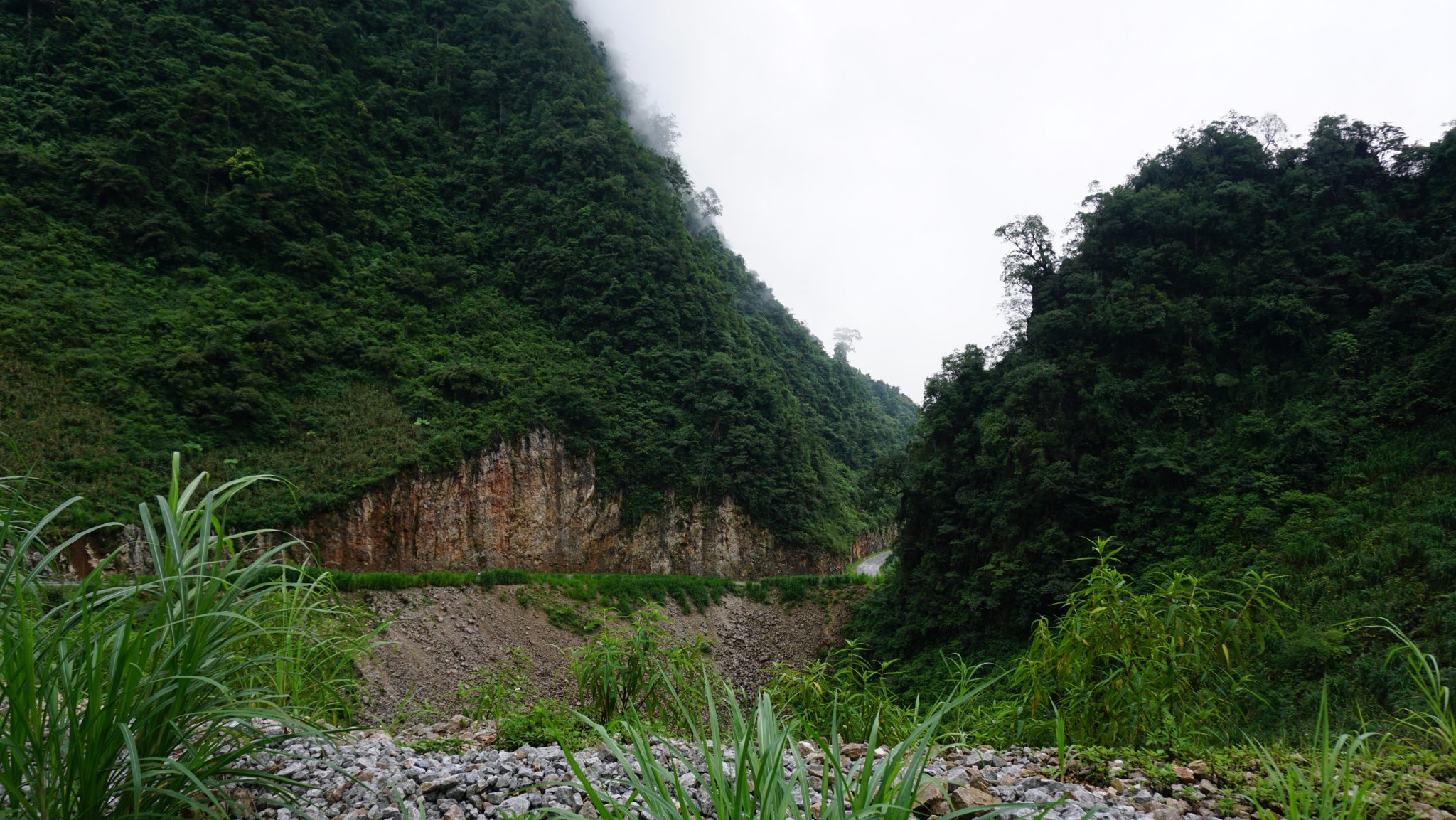 DSC01485.JPG