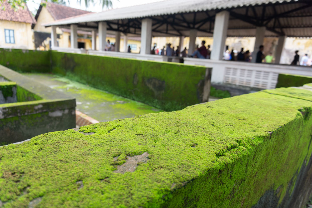 DSC03058-2.jpg