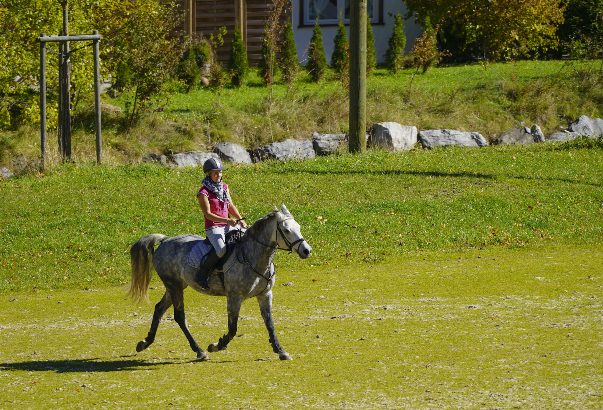 DSC03782.JPG