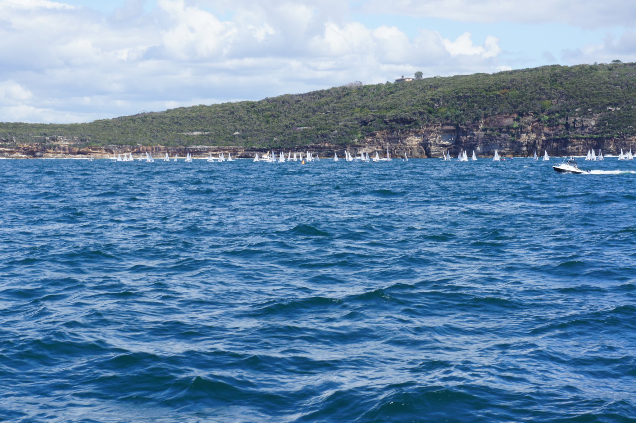 dsc09167_40504364023_o.jpg