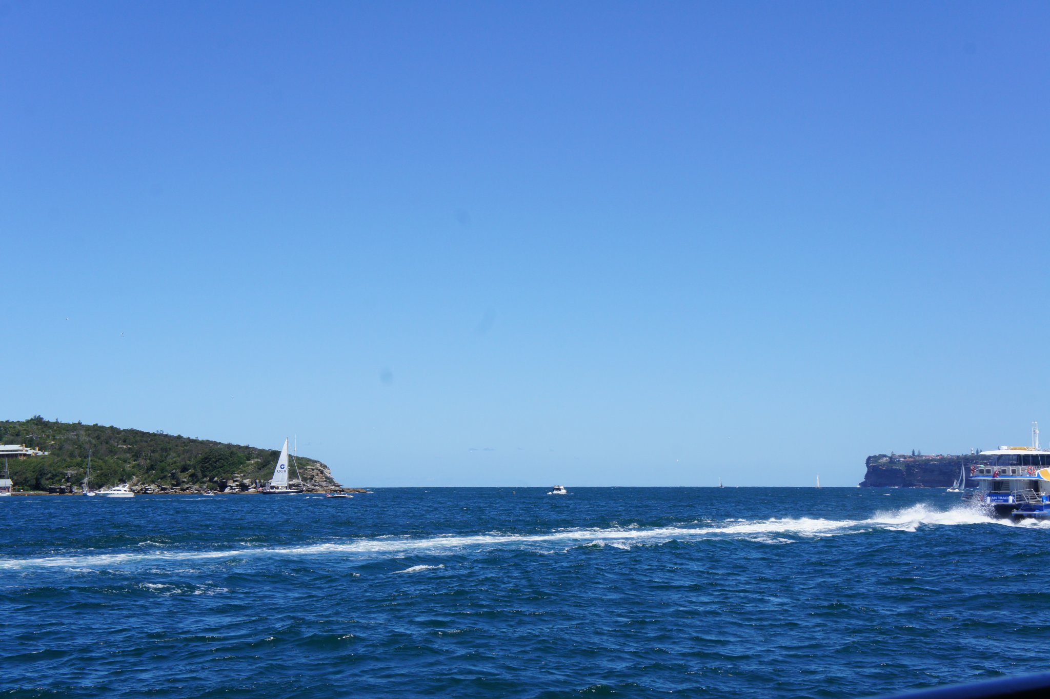 dsc09201_47470417931_o.jpg
