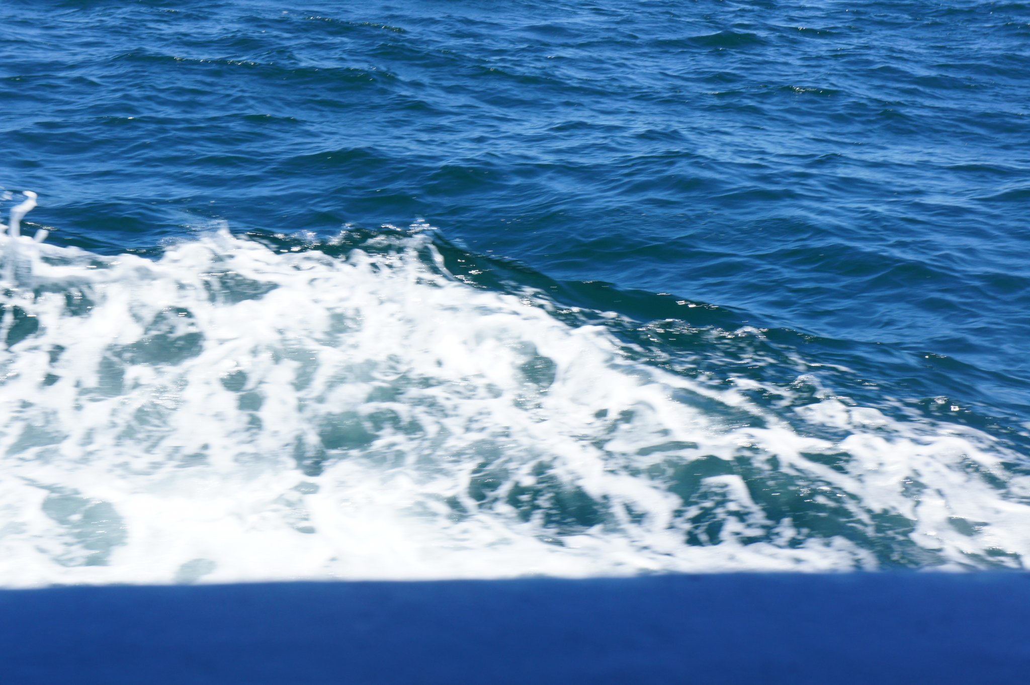 dsc09202_40504279223_o.jpg