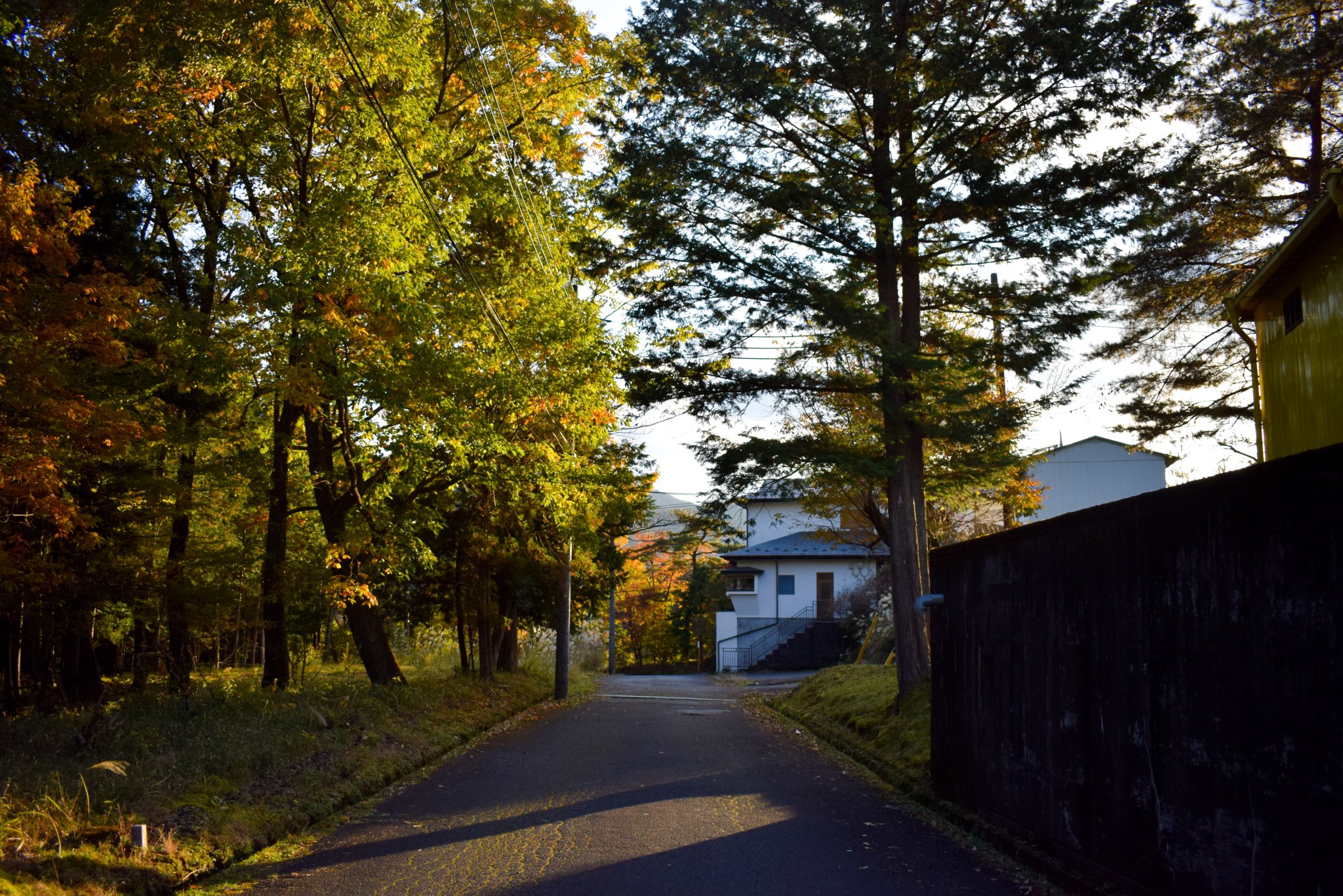 DSC_0001.jpg