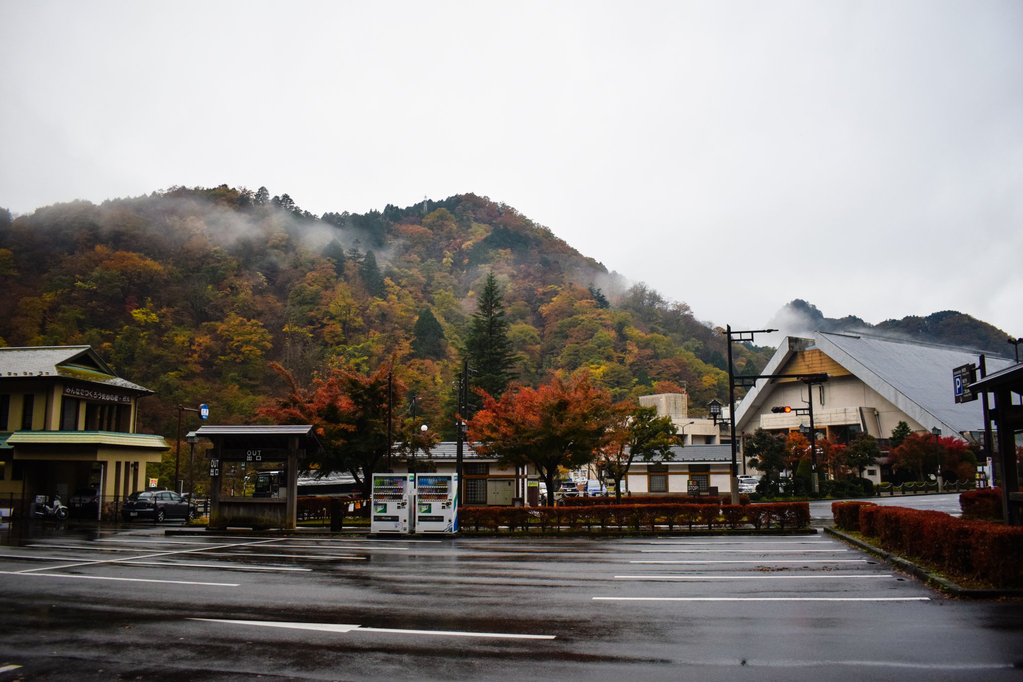 DSC_0055.jpg