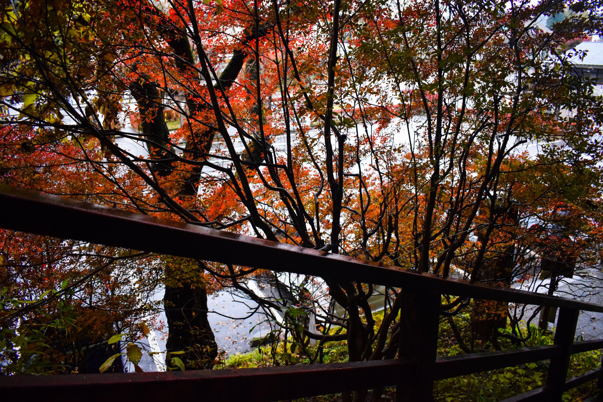 DSC_0063.jpg