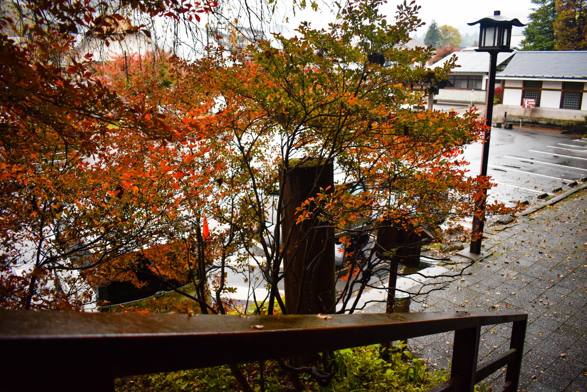 DSC_0064.jpg
