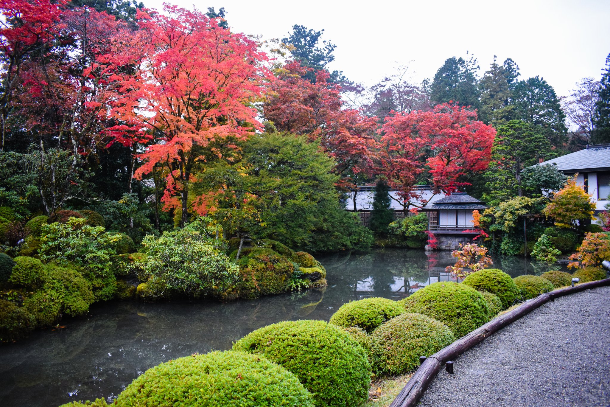 DSC_0166.jpg