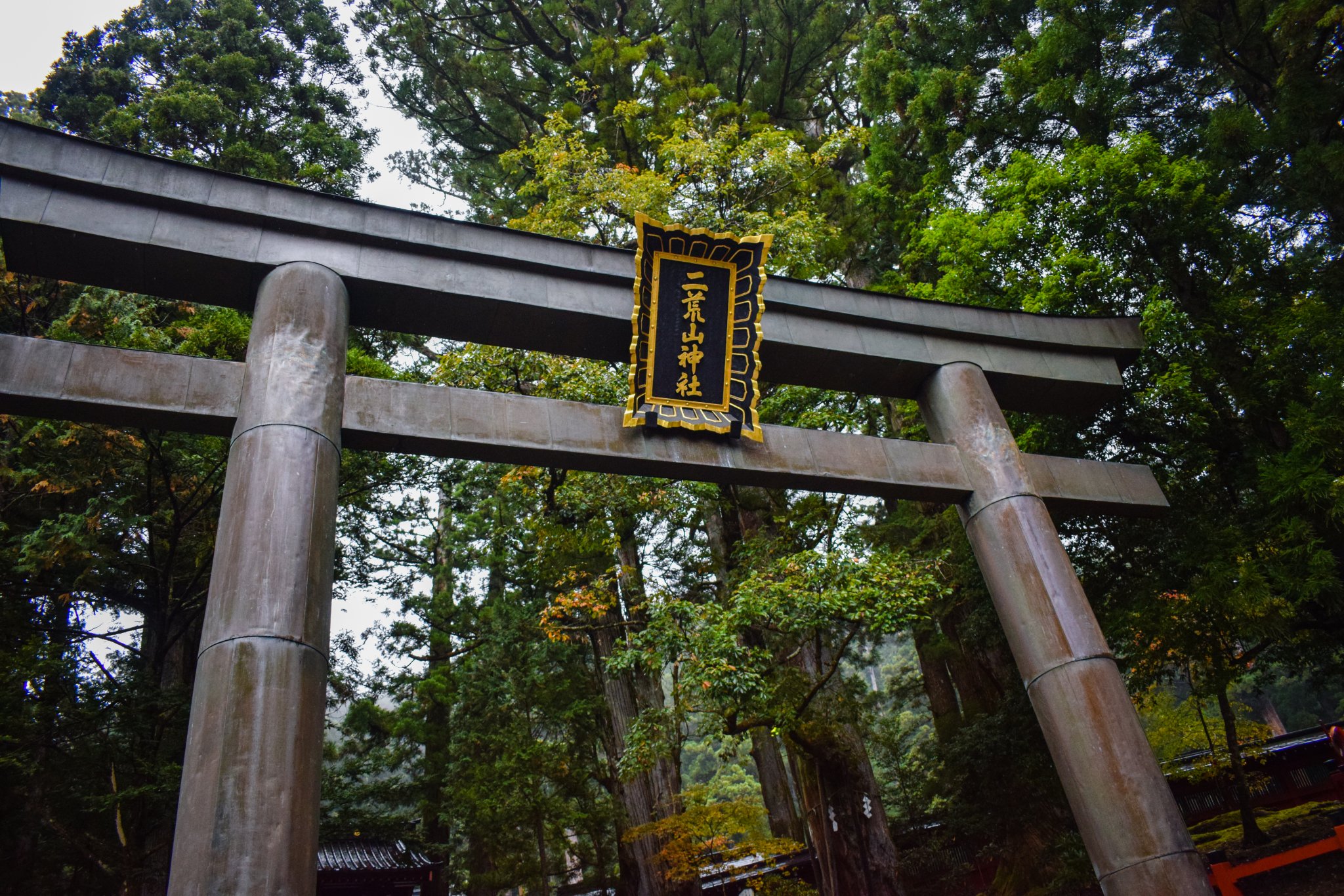 DSC_0244.jpg