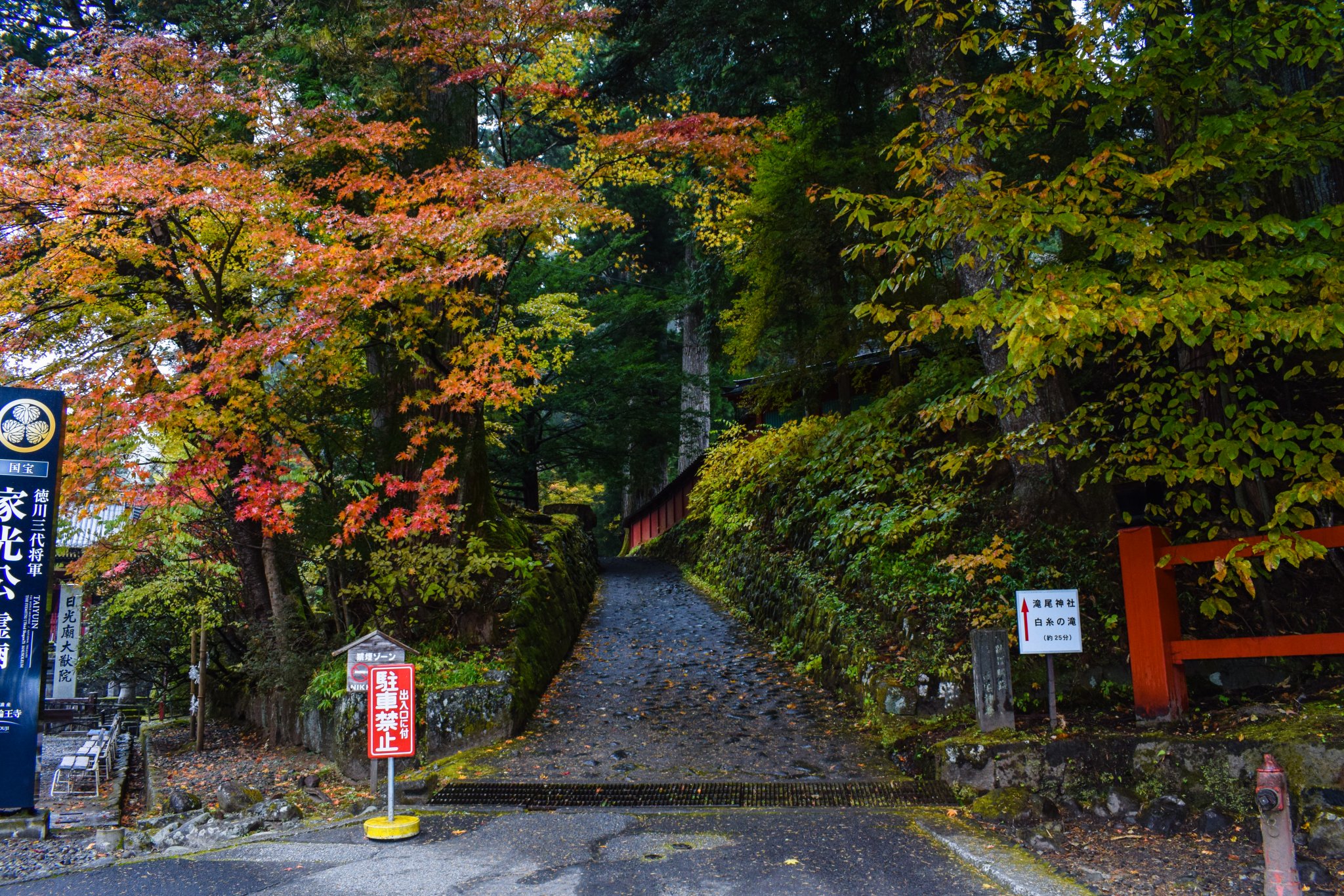 DSC_0247.jpg