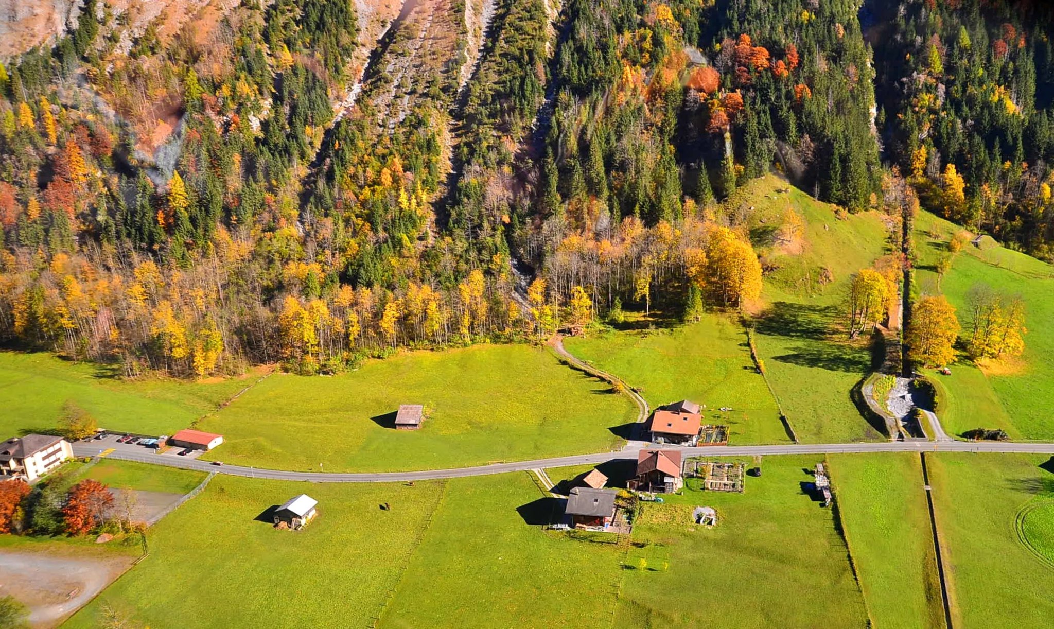 DSC_0250.jpg