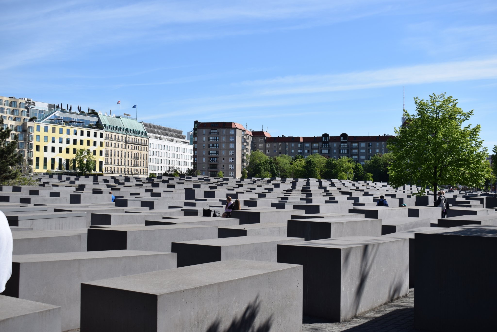 DSC_0252 (Copy).JPG