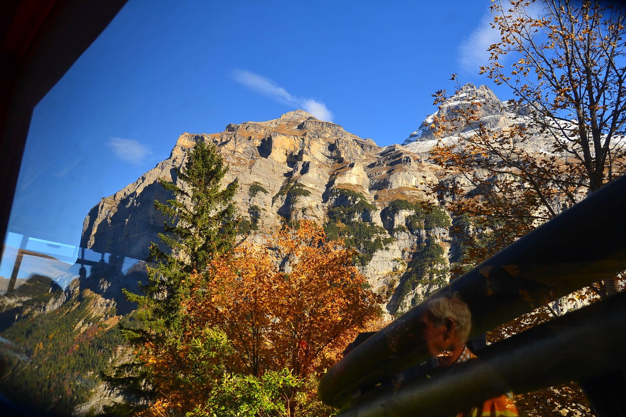 DSC_0261.jpg