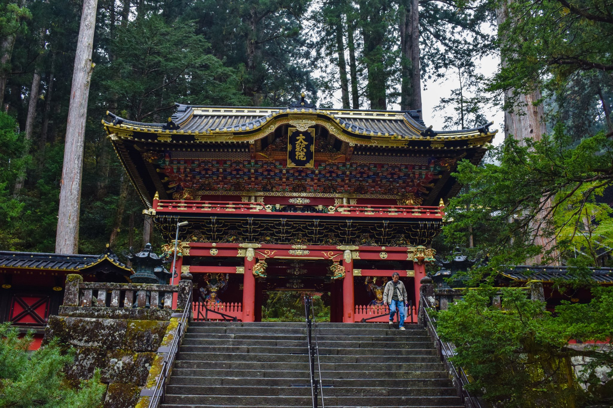 DSC_0264.jpg