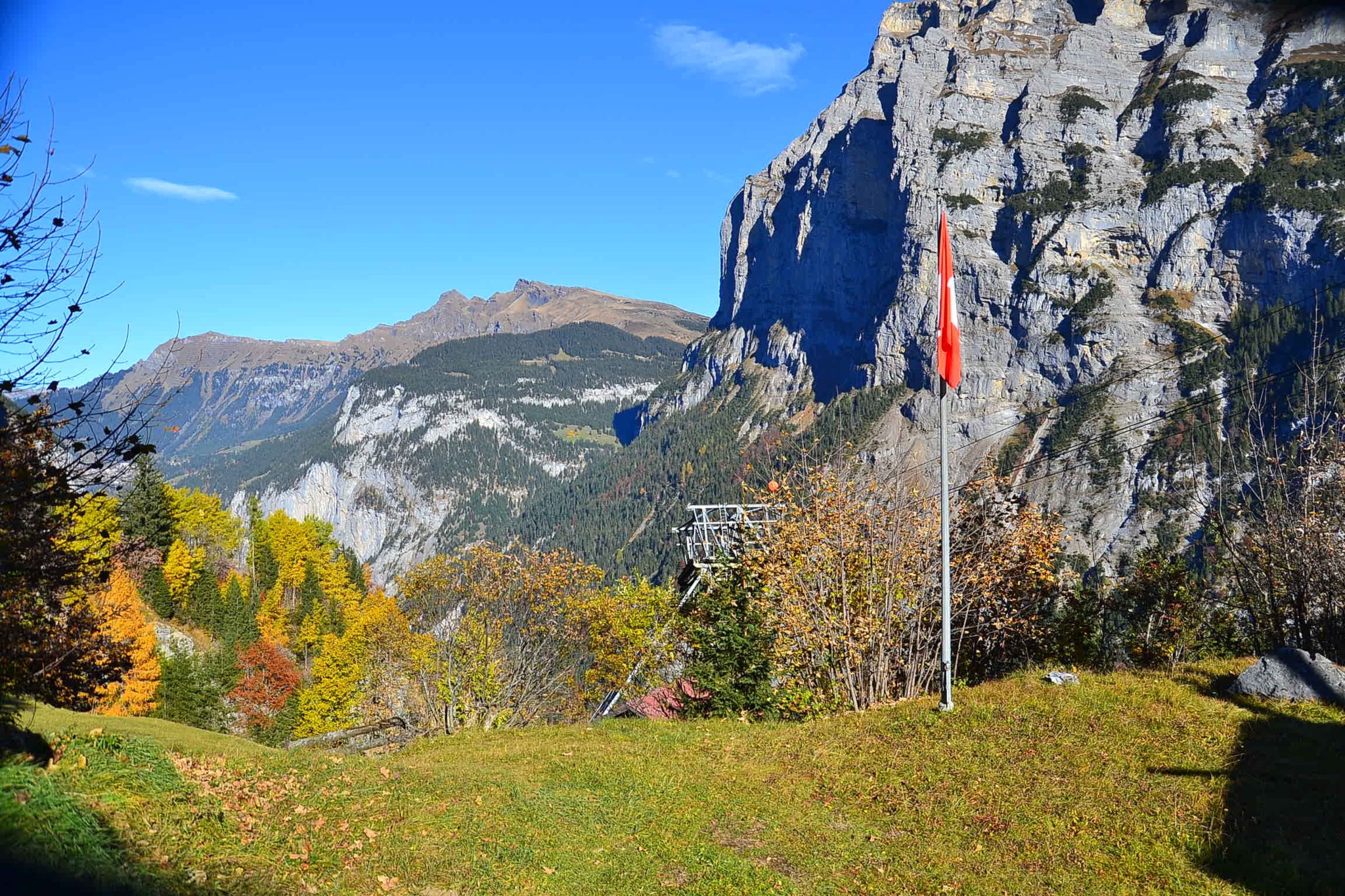 DSC_0267.jpg