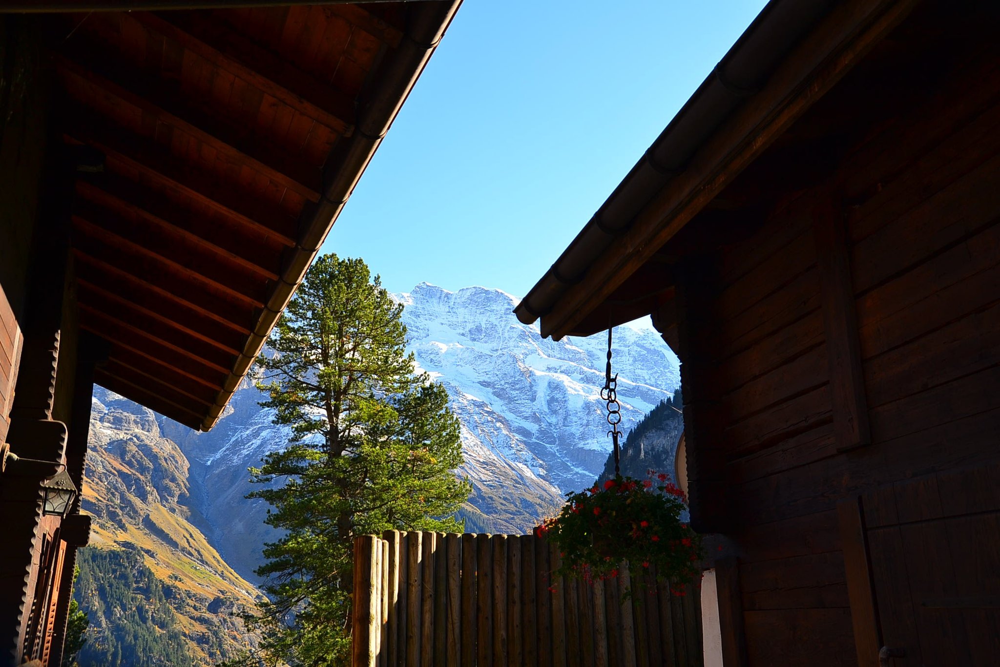 DSC_0280.jpg