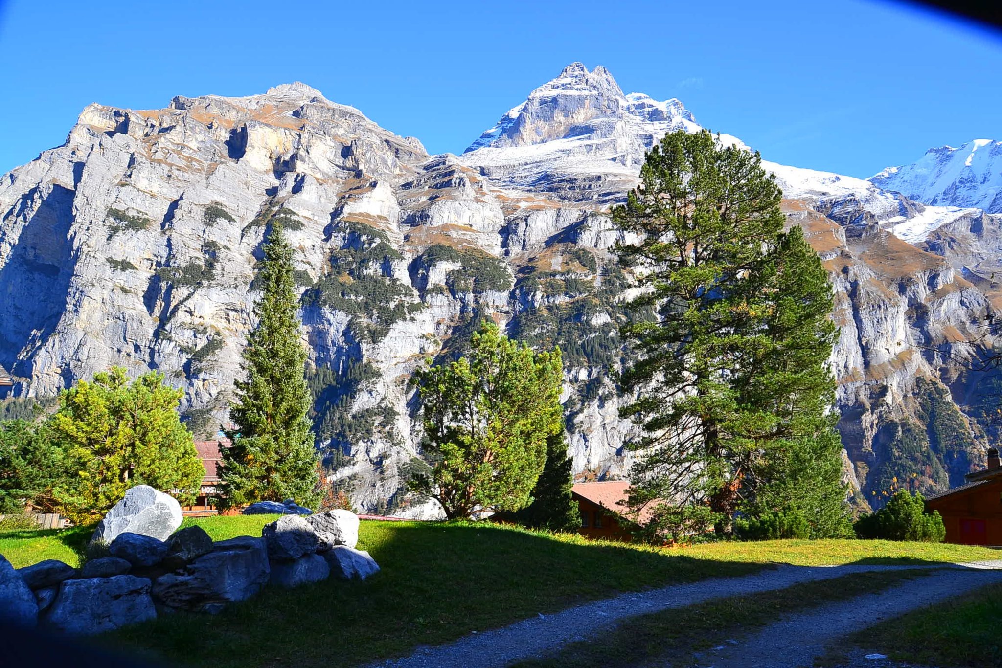 DSC_0289.jpg