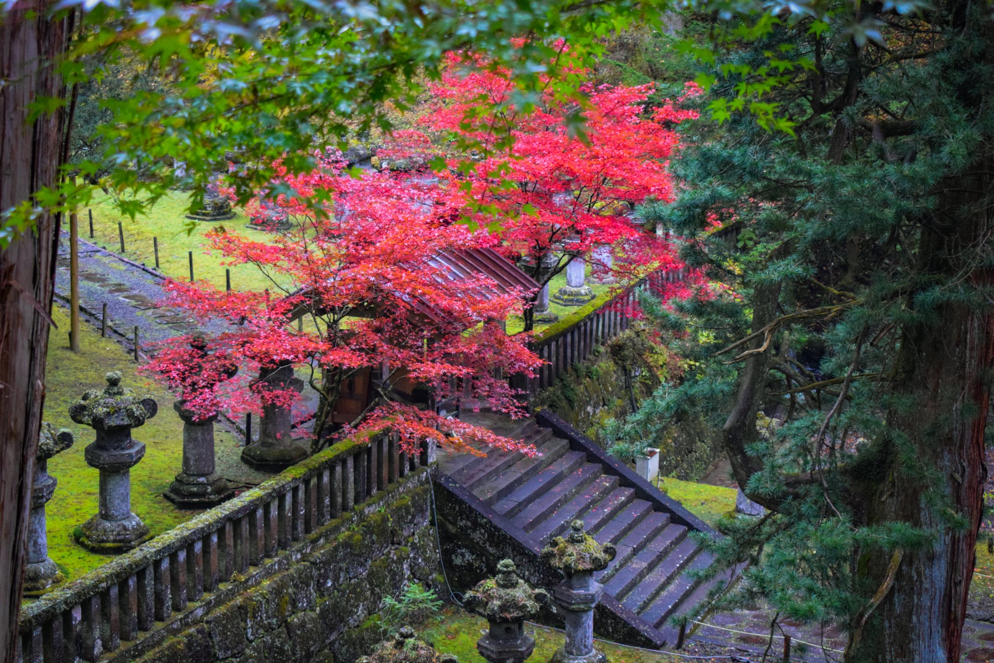 DSC_0293.jpg