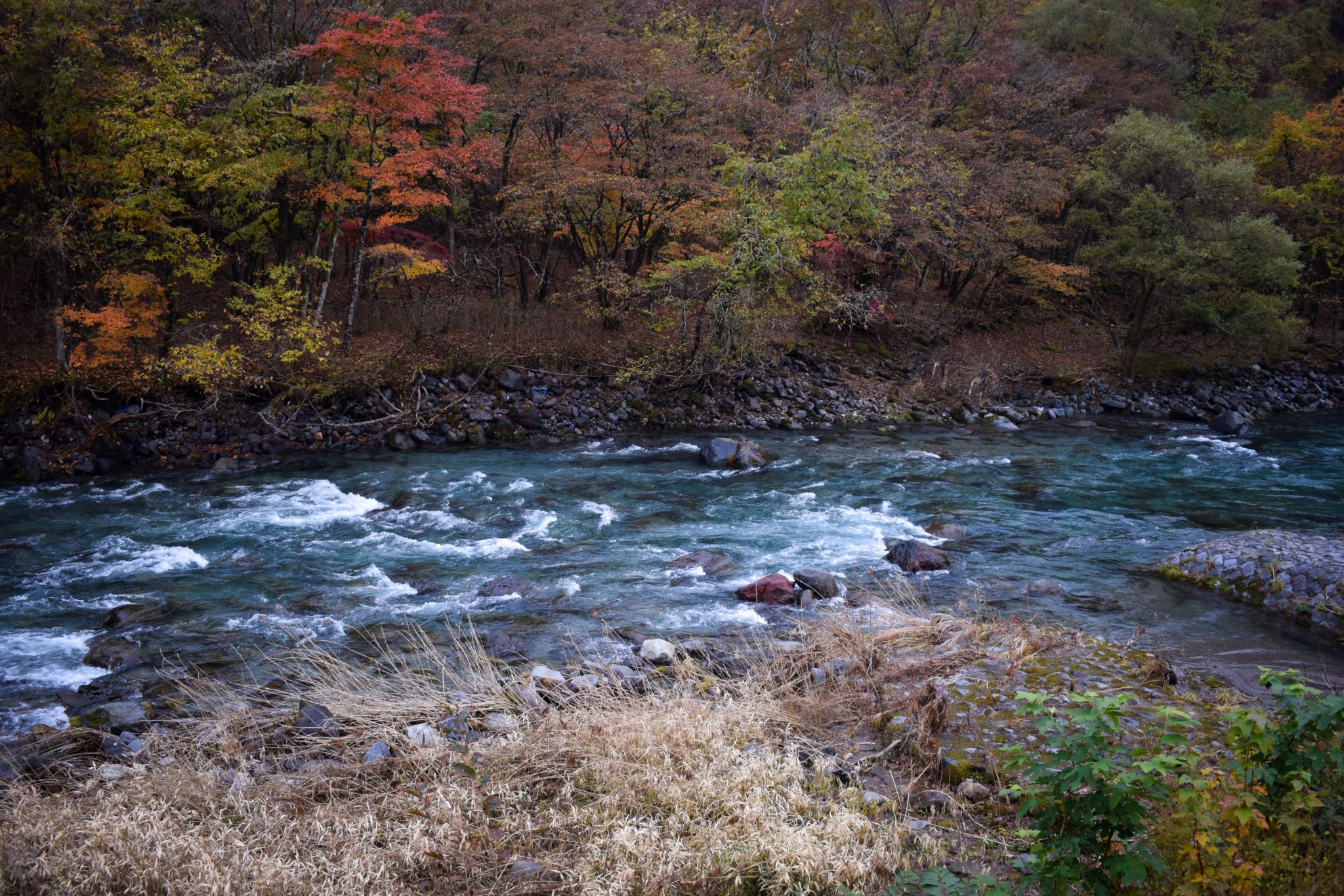 DSC_0309.jpg