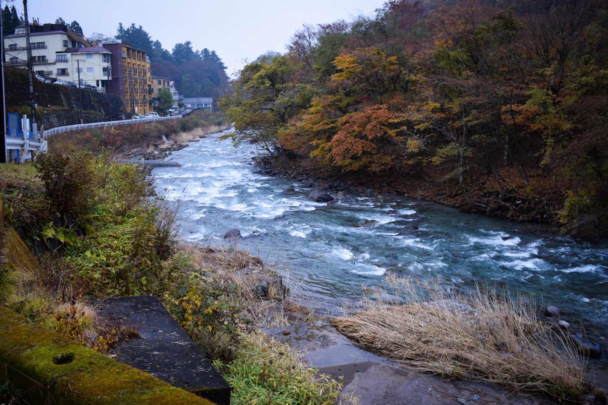DSC_0310.jpg
