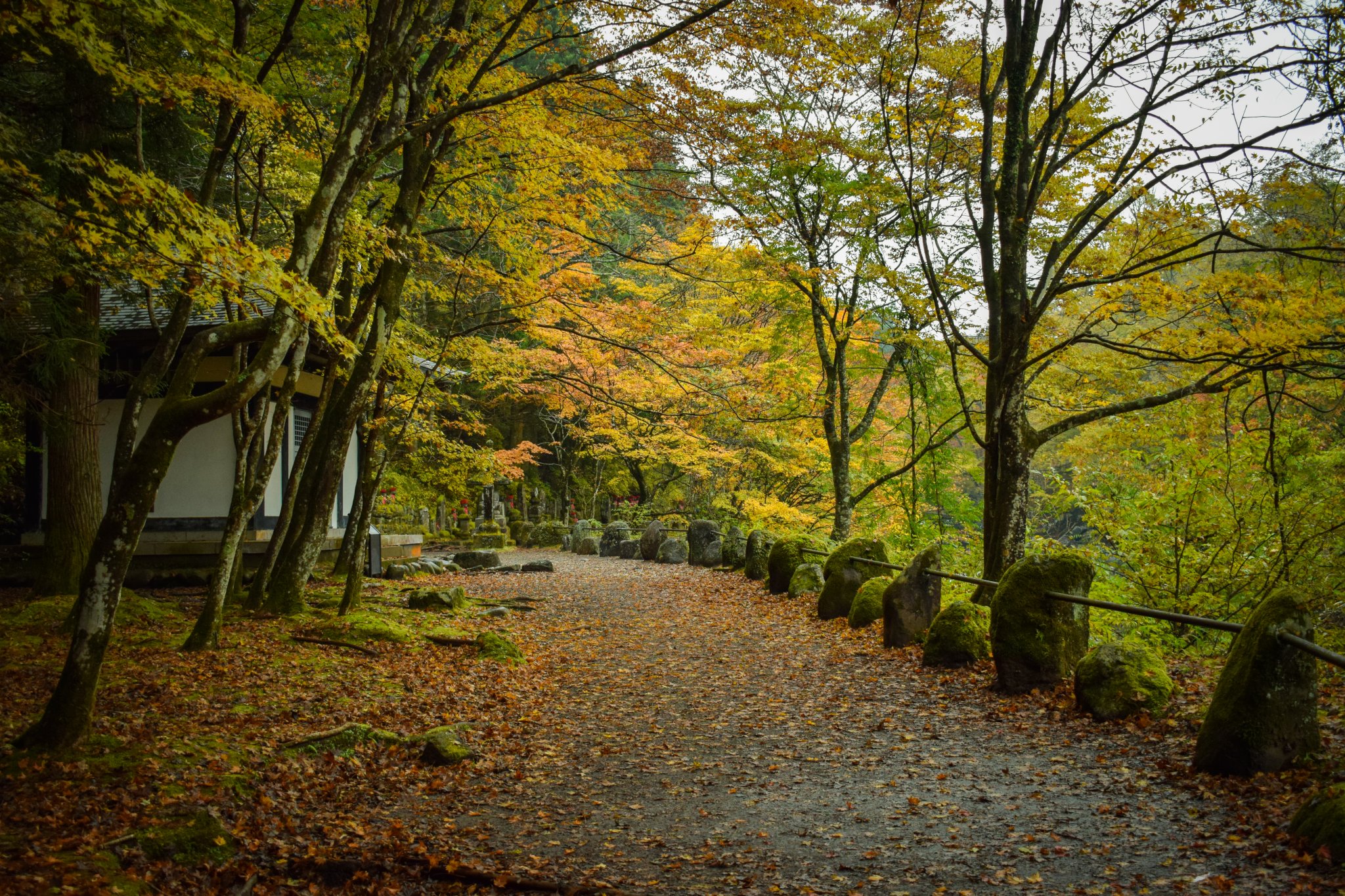 DSC_0336.jpg