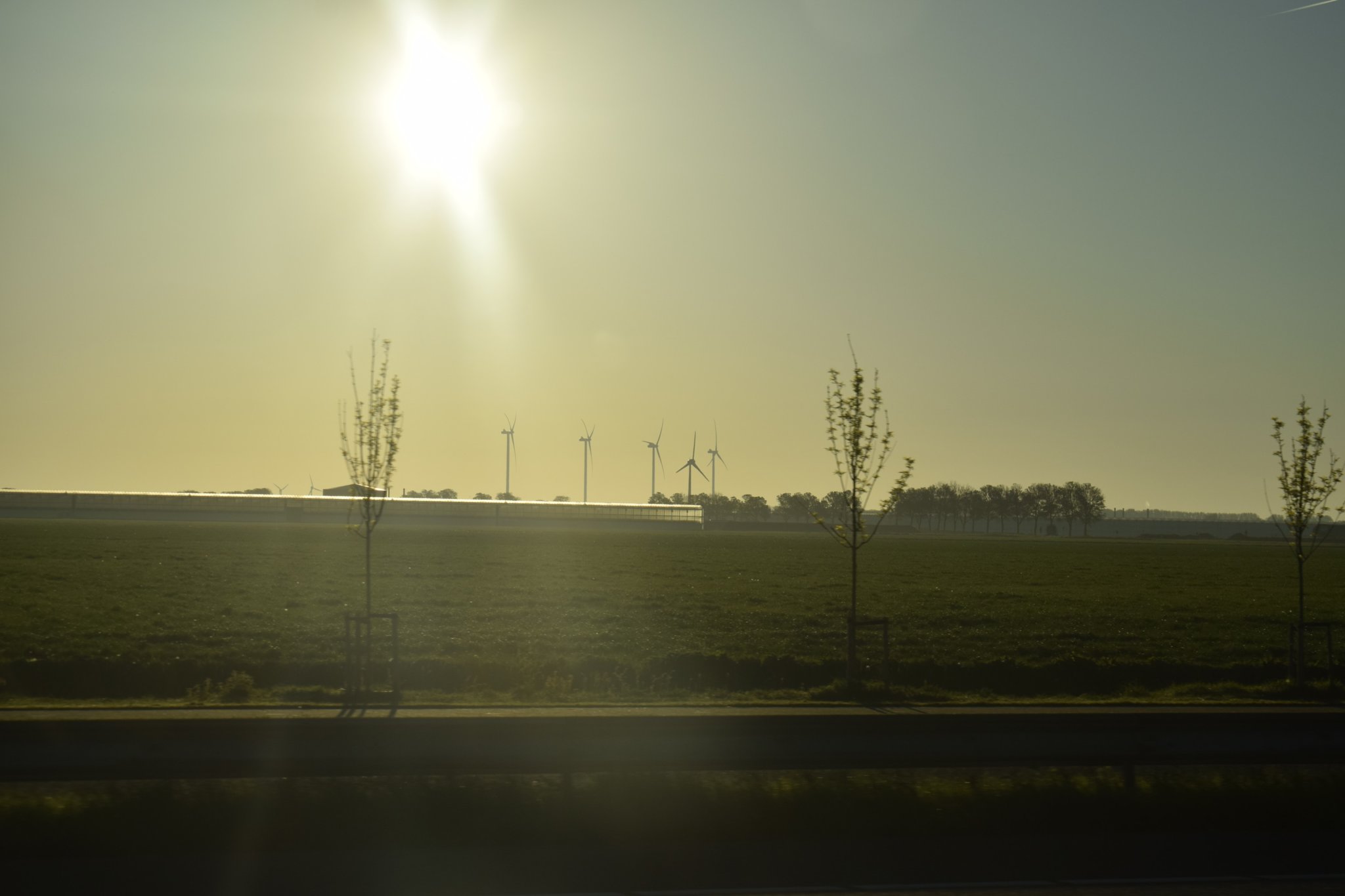 DSC_0343.jpg