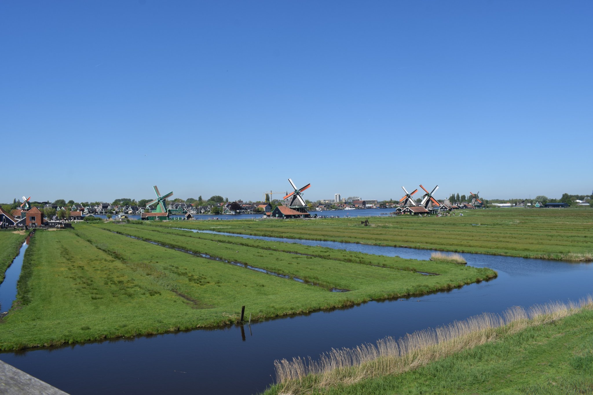 DSC_0351.jpg