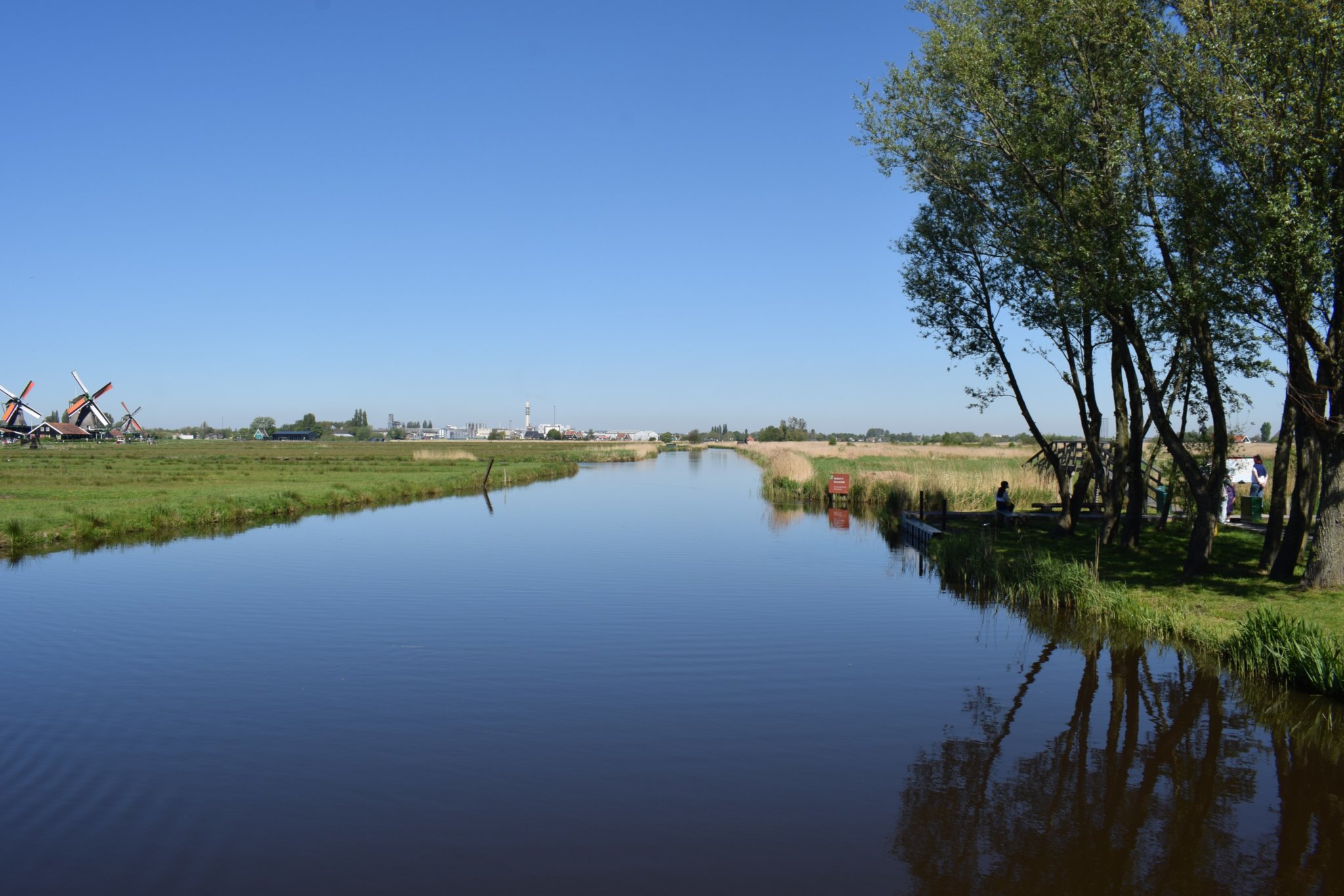DSC_0353.jpg
