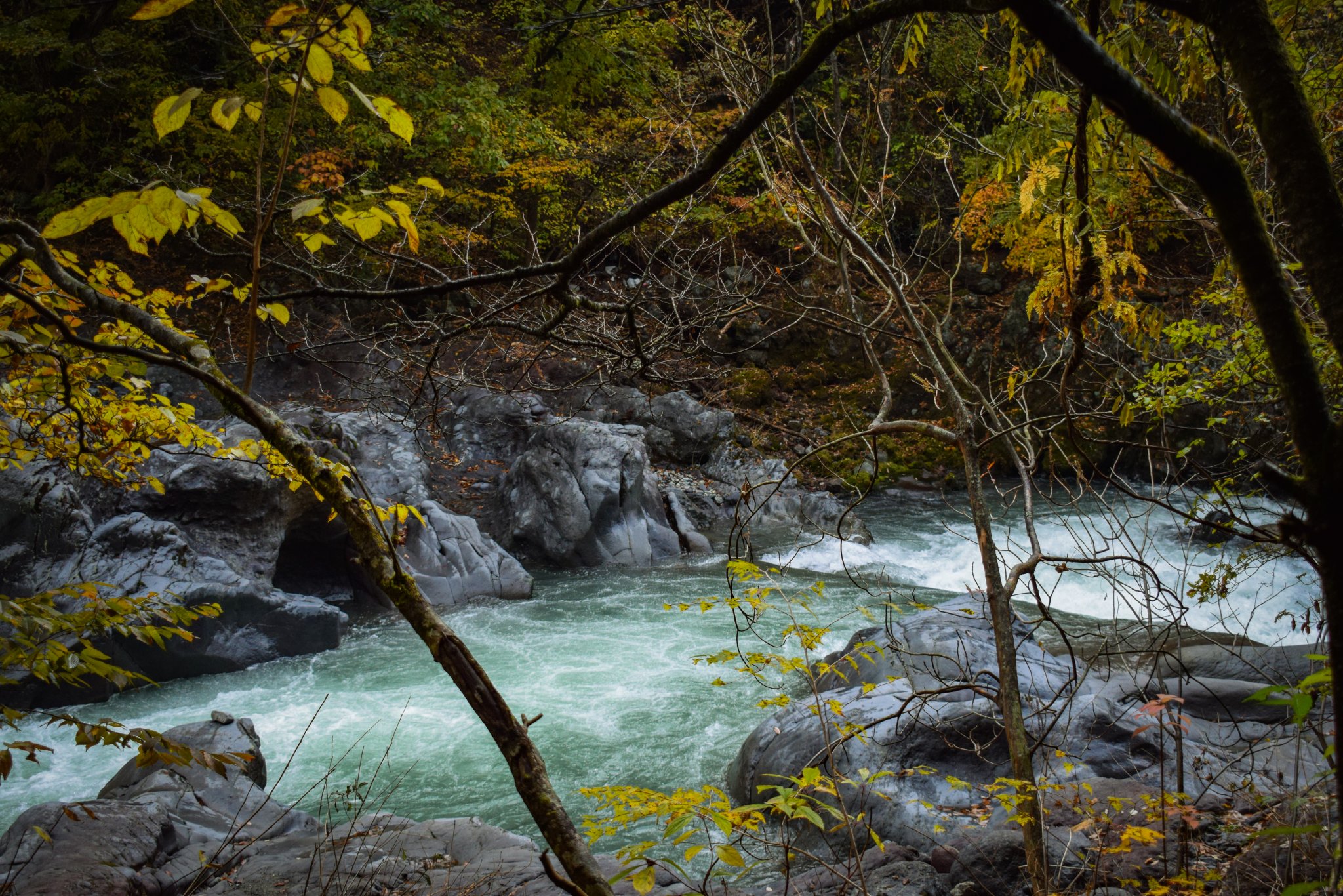DSC_0355.jpg