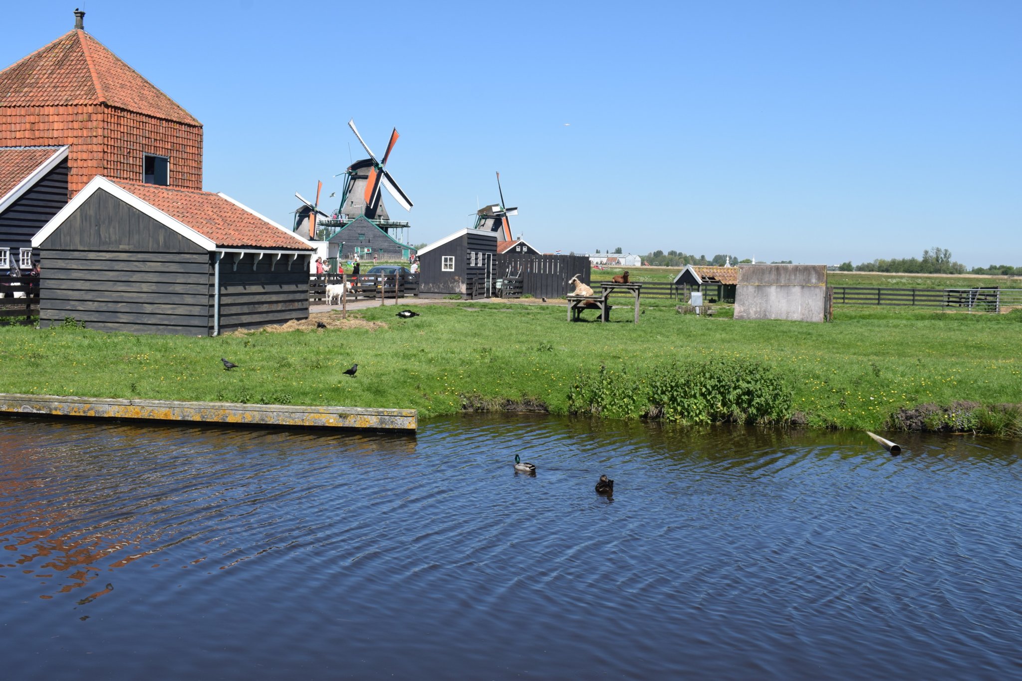DSC_0363.jpg
