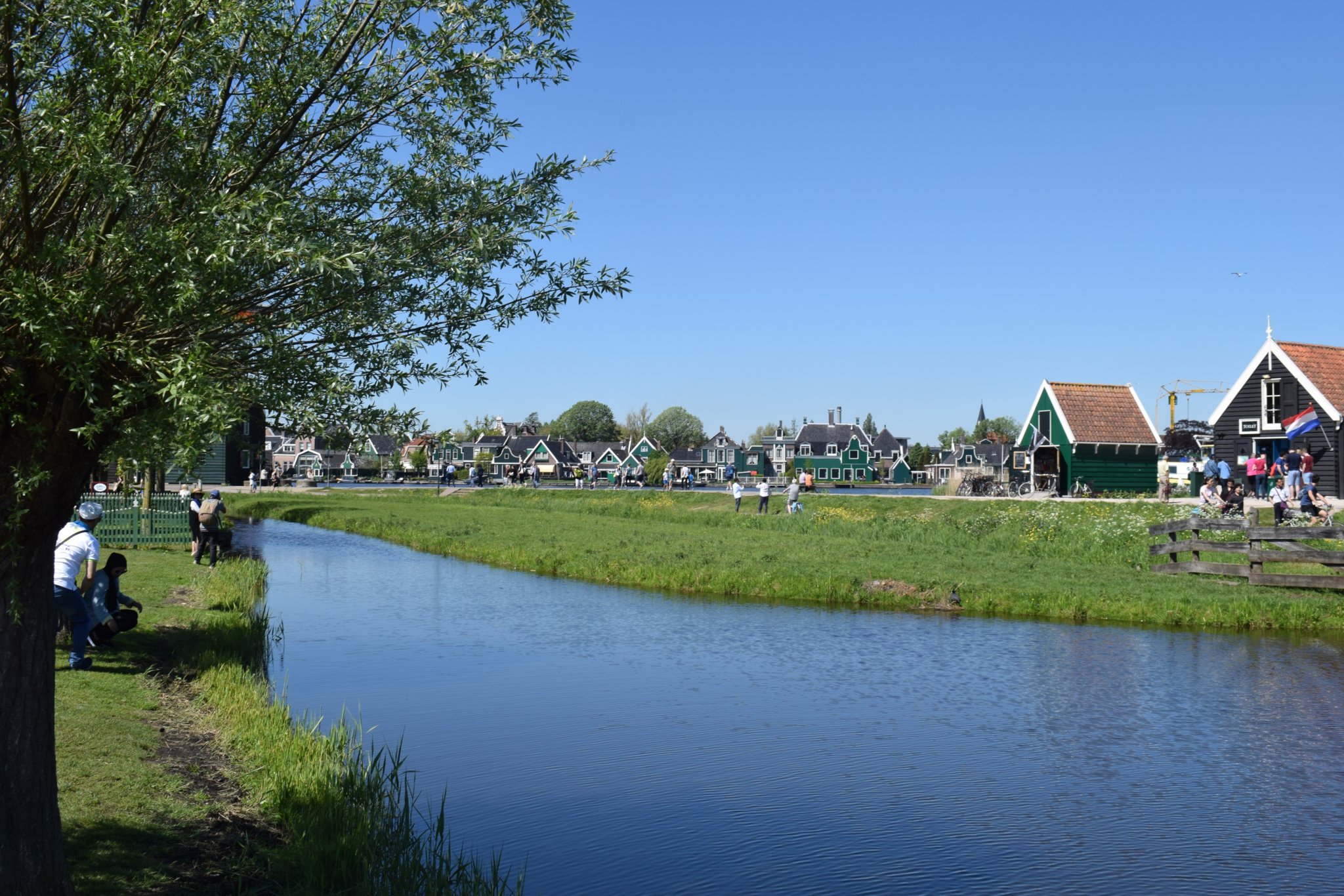 DSC_0364.jpg