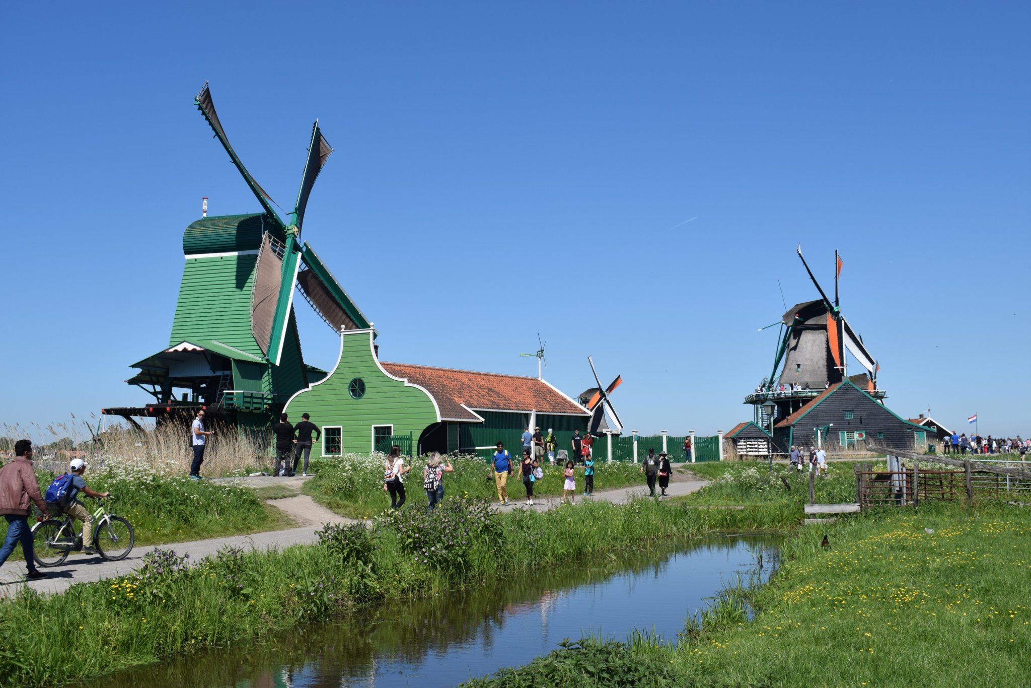 DSC_0377.jpg